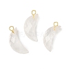 Natural Mixed Gemstone Pendants G-L614-D05-G-2