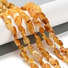 Natural Amber Beads Strands G-P497-01C-04-2