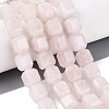 Natural Rose Quartz Beads Strands G-Q608-10O-1
