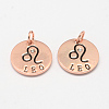 Alloy Pendants PALLOY-S083-02RG-1