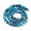 Natural Apatite Beads Strands G-F617-01-6mm-2