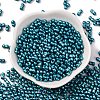Baking Paint Glass Seed Beads SEED-L011-12A-08-2