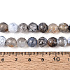 Dyed & Heated Natural Fire Crackle Agate Beads Strands G-N359-01A-03-5