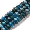 Natural Apatite Beads Strands G-N327-05-06-1