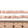 Natural Freshwater Shell Dyed Beads Strands SHEL-T020-29B-05-4