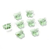Transparent Glass Beads GLAA-P037-02A-04-1