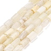 Natural White Moonstone Beads Strands G-G068-A36-01-2