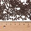 TOHO 8/0 Round Beads SEED-TR08-0501-4