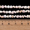 Natural Shell Beads Strands SHEL-K006-76-4