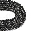 Natural Larvikite Beads Strands G-C280-B06-10mm-5