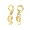 Brass Micro Pave Cubic Zirconia European Dangle Charms KK-D325-20G-01-1