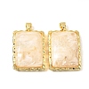 Brass Resin Pendants KK-A296-53G-G01-1