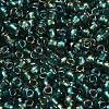 TOHO 6/0 Round Beads SEED-XTR06-0270-2