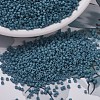 MIYUKI Delica Beads SEED-X0054-DB0792-1
