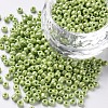 Glass Seed Beads X1-SEED-A012-3mm-124-1