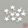 925 Sterling Silver Charms STER-S002-30S-3