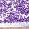 MIYUKI Delica Beads SEED-MY11-DB0660-4