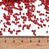 Baking Paint Glass Seed Beads X-SEED-S042-05B-89-4