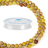 DIY Natural Regalite/Imperial Jasper/Sea Sediment Jasper Beads Bracelets  Making KIts DIY-TA0002-69E-2