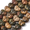 Natural Picasso Stone/Polychrome Jasper Beads G-D098-B02-2