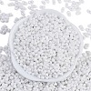 Baking Paint Glass Seed Beads X1-SEED-K010-A03-3