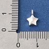 925 Sterling Silver Charms STER-G043-05A-S-3