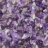 Natural Amethyst Chip Beads G-L453-06-1