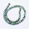 Natural African Turquoise(Jasper) Beads Strands G-E444-47-6mm-2