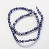 Natural Sodalite Beads Strands GSR4mmC013-5