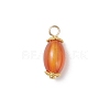 6Pcs Natural Agate(Dyed & Heated) Pendants PALLOY-JF04532-02-3