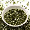 Glass Seed Beads X-SEED-S042-04B-25-2
