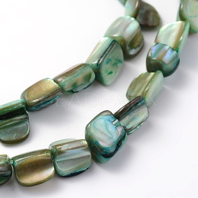 Irregular Natural Sea Shell Beads Strands SSHEL-X0001-1
