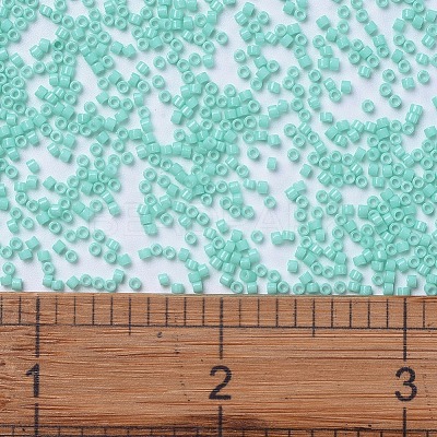 MIYUKI Delica Beads SEED-X0054-DB2122-1