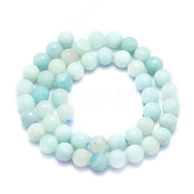 Natural Amazonite Beads Strands G-K310-A02-8mm-1