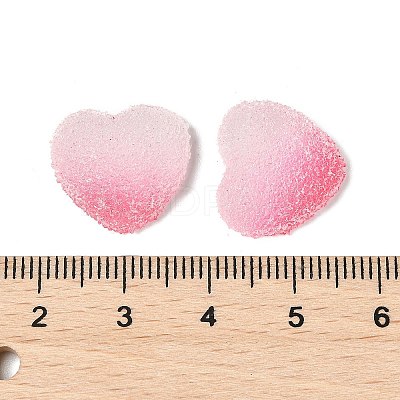 Imitation Candy Food Style Resin Cabochons RESI-R461-01N-1