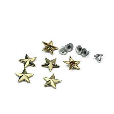 Star Alloy Collision Rivets PW-WG15209-02-1