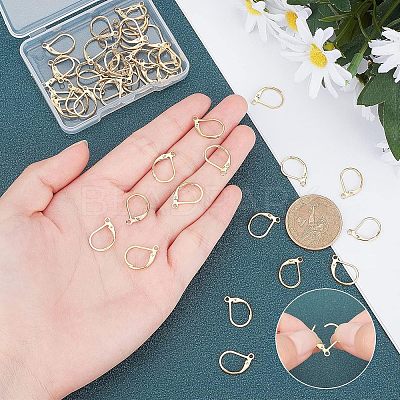 PVD Vacuum Plating 304 Stainless Steel Leverback Earring Findings STAS-UN0018-12G-1