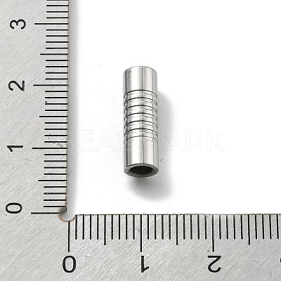 304 Stainless Steel Magnetic Clasps STAS-B082-02A-P-1