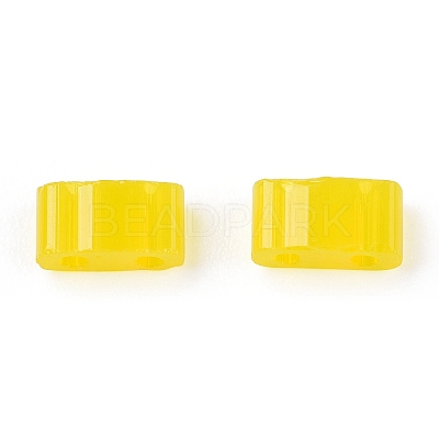 2-Hole Glass Seed Beads SEED-T003-01B-13-1