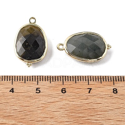 Natural Labradorite Faceted Oval Connector Charms G-H323-02G-09-1