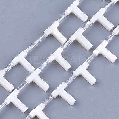 Natural Freshwater Shell Beads SHEL-T012-59T-1