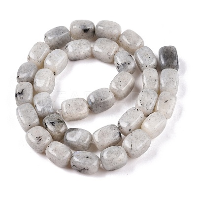 Natural Labradorite Beads Strands G-T138-85-1