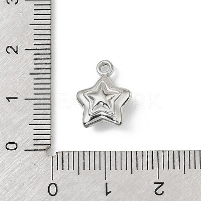 304 Stainless Steel Charms STAS-F327-03C-P-1
