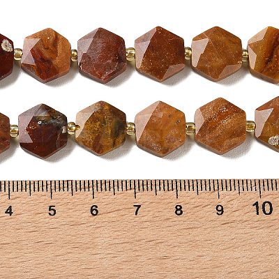 Natural Petrified Wood Beads Strands G-H344-B03-01-1