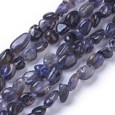 Natural Iolite Beads Strands G-P433-13-1