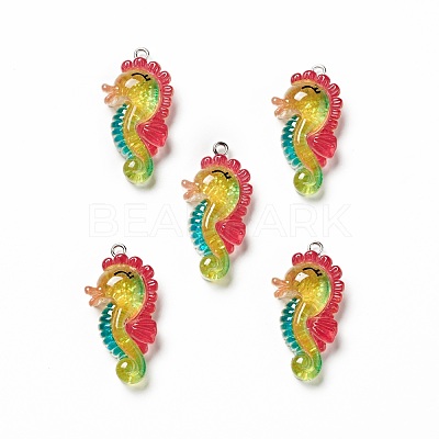 Ocean Theme Transparent Resin Pendants RESI-E024-05P-02-1