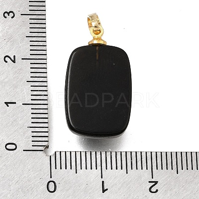 Natural Obsidian Pendants G-T151-02E-1