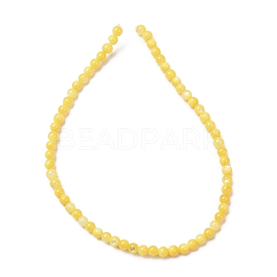 Dyed Natural Freshwater Shell Beads Strands SH-CBA2978-07C-01-1