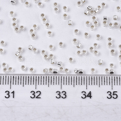 Glass Seed Beads SEED-S042-04B-06-1