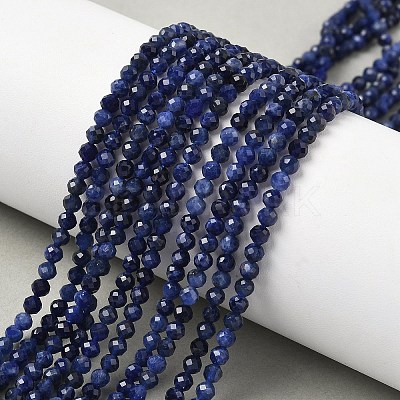 Natural Sodalite Beads Strands G-L622-C04-3mm-1
